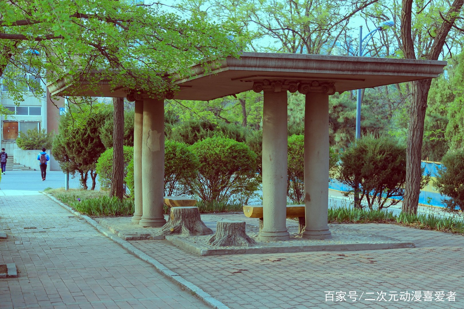 大连理工校内发生交通事故老师撞死学生,此事究竟该谁负责?