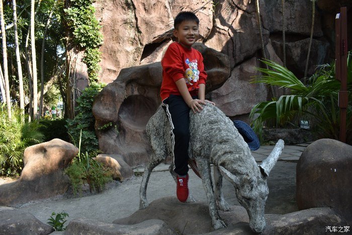 石头景观也疯狂，长安CS75我们一起去欣赏一下