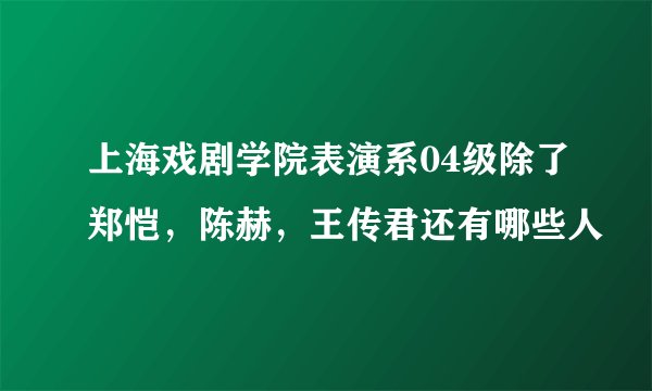 上海戏剧学院表演系04级除了郑恺，陈赫，王传君还有哪些人