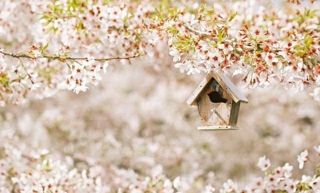 戚薇黑皇后造型惊艳，什么样的女孩子最迷人？