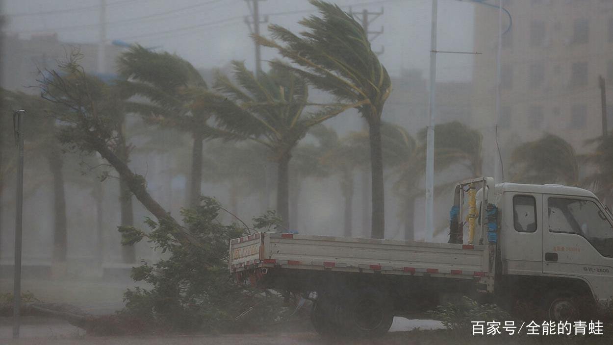 广东今年第9号台风“卢碧”生成，台风的威力有多大？