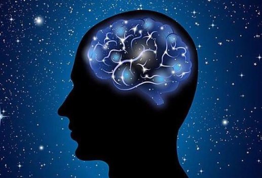 人体大脑结构图及功能是什么？