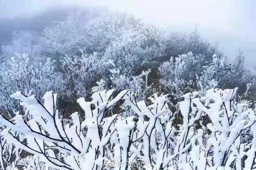 近九成国土冷如钻冰箱，你的感觉怎么样？