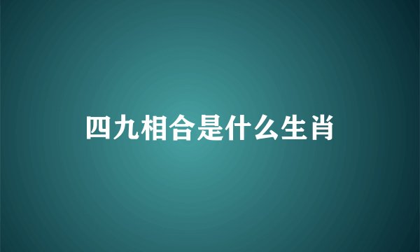 四九相合是什么生肖