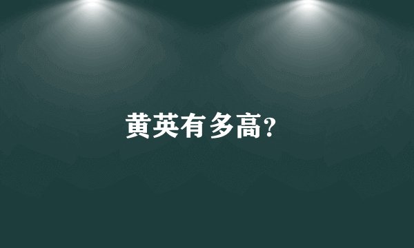 黄英有多高？