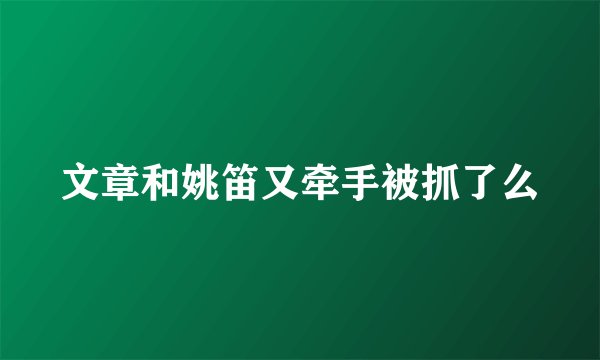 文章和姚笛又牵手被抓了么