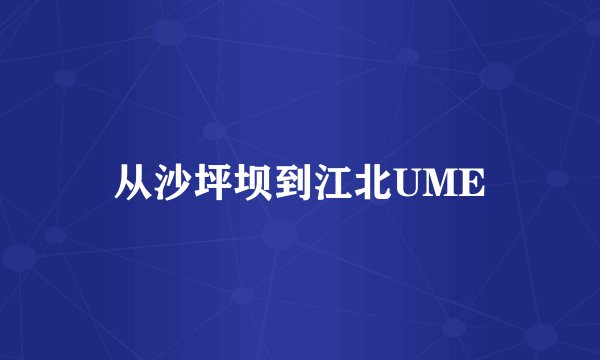 从沙坪坝到江北UME