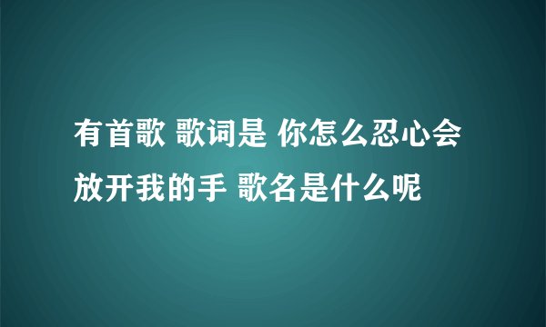 有首歌 歌词是 你怎么忍心会放开我的手 歌名是什么呢