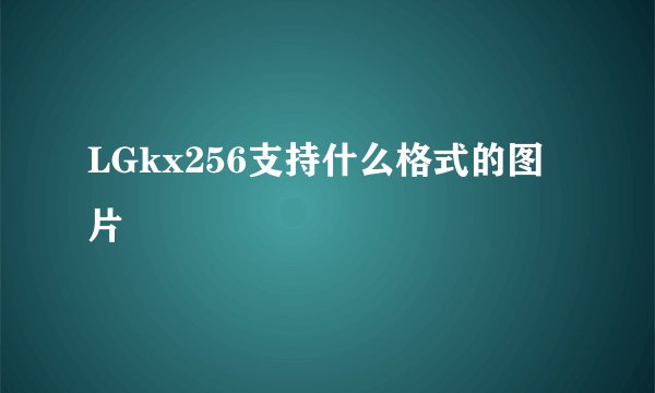 LGkx256支持什么格式的图片