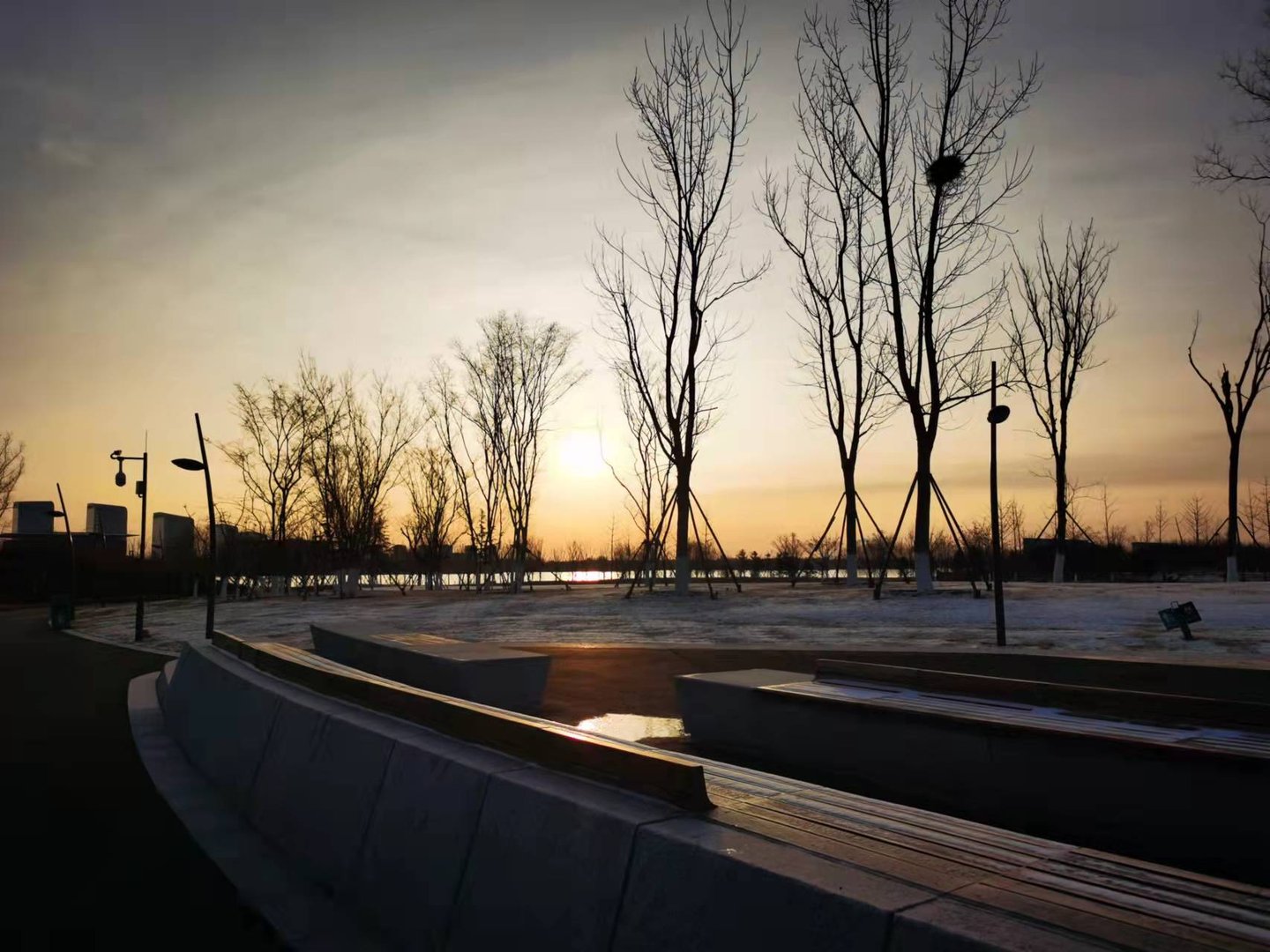 为什么迎山红下山桩养几年就挂了