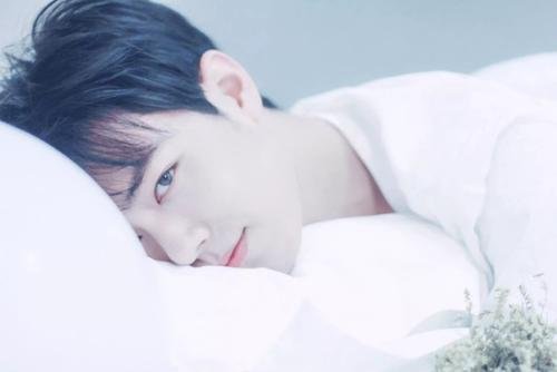 天猫请肖战参加双十一晚会，为何最后肖战缺席了？