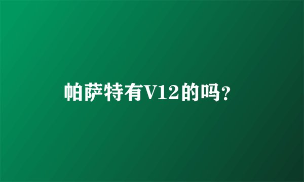 帕萨特有V12的吗？