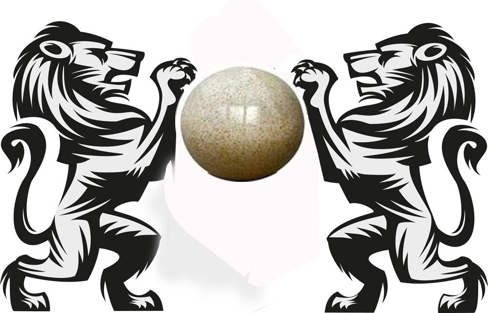 急!!谁有黄山风景区狮子抢球图片?