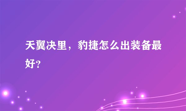 天翼决里，豹捷怎么出装备最好？