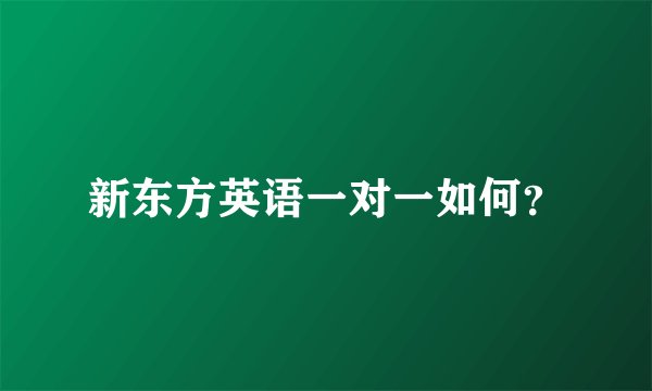 新东方英语一对一如何？