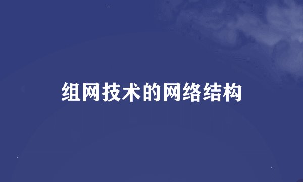 组网技术的网络结构