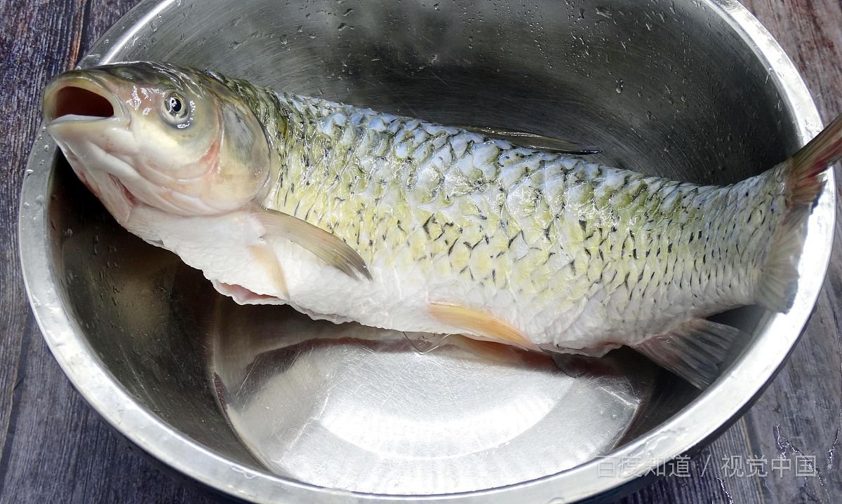 草鱼怎么做好吃