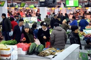 长春两位工作人员因晒蔬菜包活动被处理,此事如何定性?