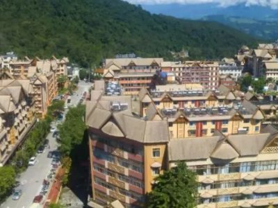 西盟指哪些国家