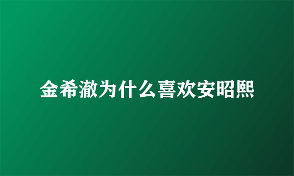 金希澈为什么喜欢安昭熙
