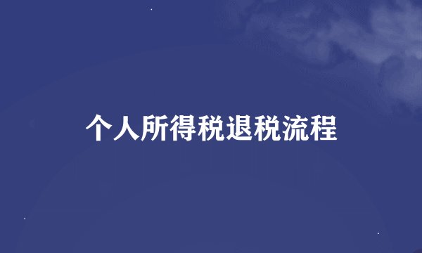 个人所得税退税流程
