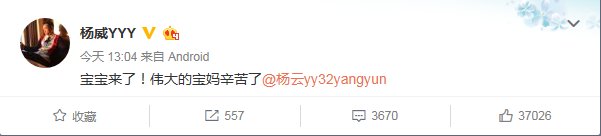 杨威杨云二胎是怎么回事？