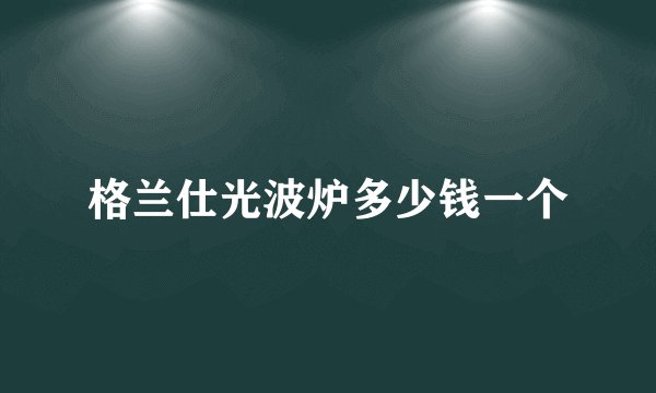 格兰仕光波炉多少钱一个