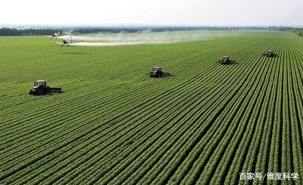 人工合成淀粉成功，这有什么好处呢？