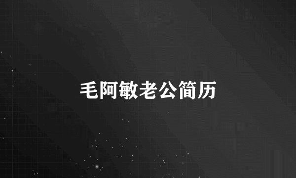 毛阿敏老公简历