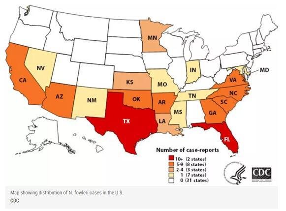 “食脑虫”正穿越美国向北“进军”,为何人类都怕这种虫子?