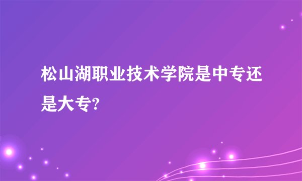 松山湖职业技术学院是中专还是大专?