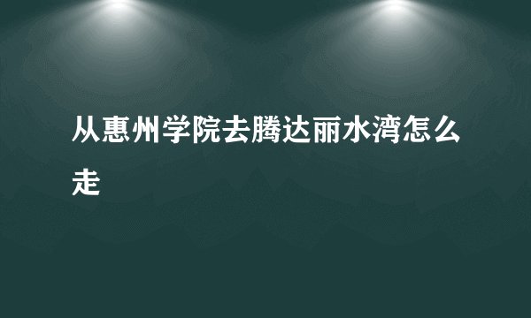从惠州学院去腾达丽水湾怎么走