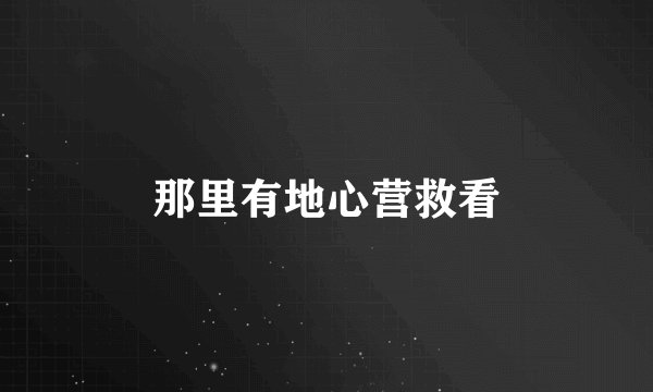 那里有地心营救看