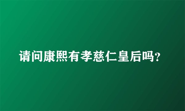 请问康熙有孝慈仁皇后吗？