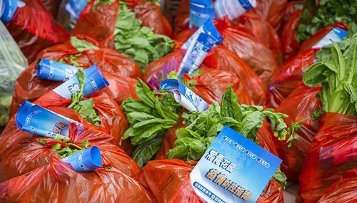 长春两位工作人员因晒蔬菜包活动被处理,此事如何定性?