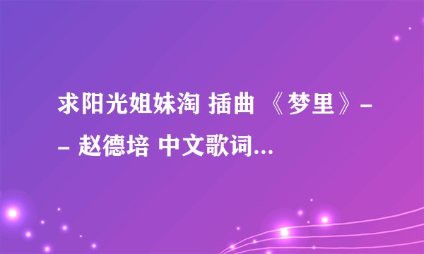 求阳光姐妹淘 插曲 《梦里》-- 赵德培 中文歌词，我已经在韩网找到了韩文歌曲了。