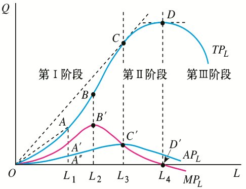 规模报酬的定义是什么?