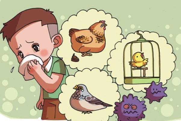 四川发生禽流感,此禽流感会不会传染给人?