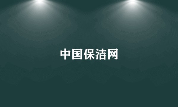 中国保洁网