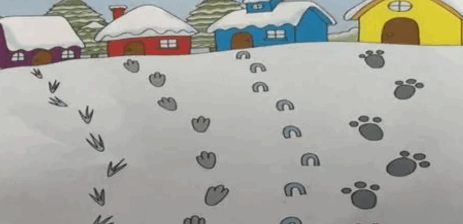 动物的脚印像什么形状?