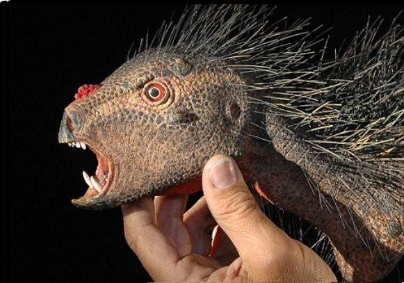 最冷门的专业—古生物专业，为什么大家都不选择？