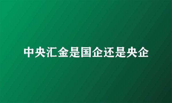 中央汇金是国企还是央企