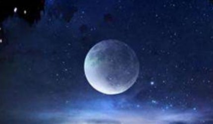 immediately什么意思