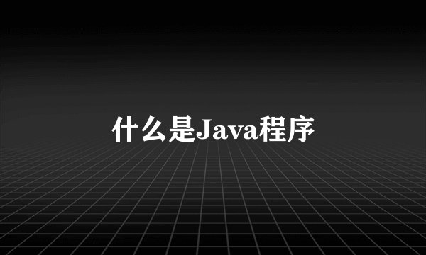 什么是Java程序