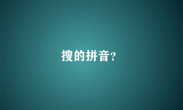 搜的拼音？
