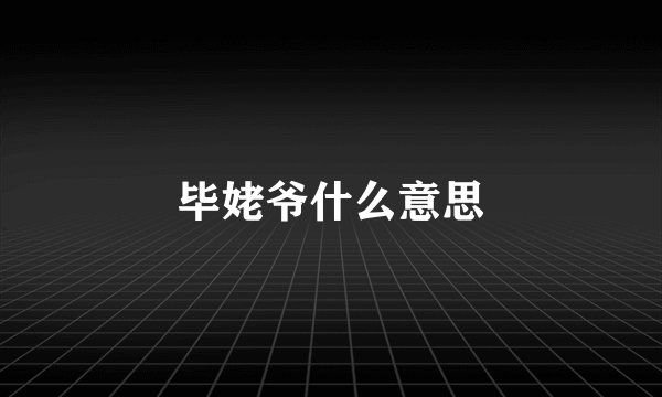 毕姥爷什么意思