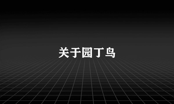 关于园丁鸟
