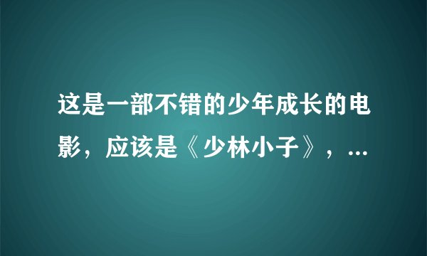 这是一部不错的少年成长的电影，应该是《少林小子》，但是搜不到，搜到的都是李连杰演的