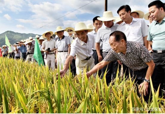 袁隆平的小跟班袁定阳，他的老婆是如何接受考验的？