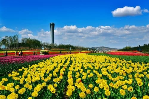 2019年五一劳动节锦州世博园门票免费吗?(包括北镇吗?